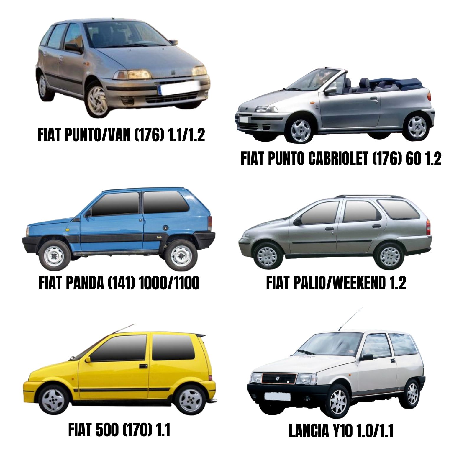 PAYEKG1